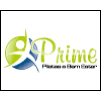 PRIME PILATES E BEM ESTAR