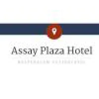 ASSAY PLAZA HOTEL