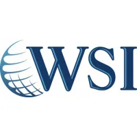 WSI FUTURE MARKETING