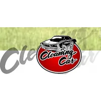 GRUPO OMICRON CLEANING CAR