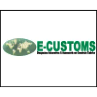 E CUSTOMS DESPACHOS ADUANEIROS