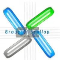 GRUPO SCALLOP & EMPREENDIMENTOS S.A