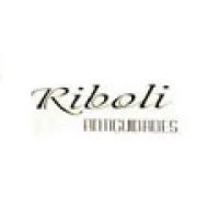 RIBOLI ANTIGUIDADES