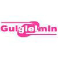 GULGIELMIN CAMISETAS E UNIFORMES PROFISSIONAIS
