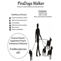 PIRADOGS WALKER