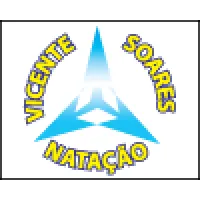 ACADEMIA VICENTE SOARES