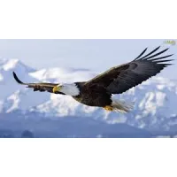 RENOVAÇÃO FORRO DE PVC