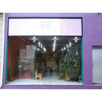 ATELIE AMIGAS DA ARTE