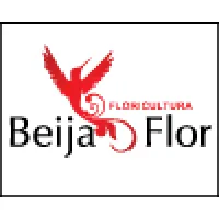 FLORICULTURA BEIJA FLOR