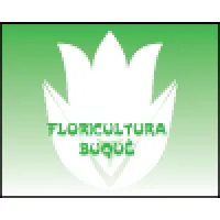 FLORICULTURA BUQUE