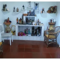 CARTOMANTE/TARÓLOGA 