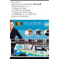 100INSETOS DEDETIZADORA E DESENTUPIDORA 