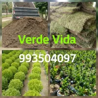 VERDE VIDA - JARDINAGEM E PAISAGISMO
