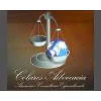 COLARES ADVOCACIA ASSESSORIA E CONSULTORIA ESPECIALIZADA