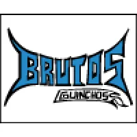 BRUTUS GUINCHOS E GUINDASTES