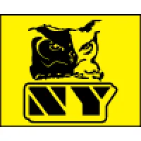 NY SISTEMAS DE SEGURANÇA