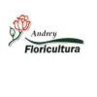 FLORICULTURA AUDREY