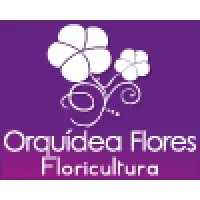 FLORICULTURA ORQUIDEA