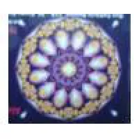 ALEXANDRA VENDRAMINI - CRP 67615