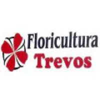 FLORICULTURA TREVOS