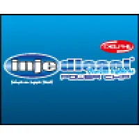 INJEDIESEL POWER CHIP E BOMBAS INJETORAS