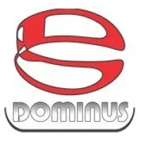 DÔMINUS GUINDASTES